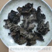 批发供应东北黑木耳