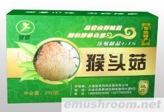 供应东北压缩精品猴头菇