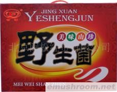 供应野生菌大礼包