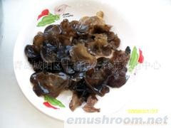 供应野生东北木耳