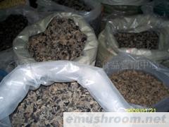 供应东北黑木耳