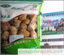 年货/批发/猴头菇