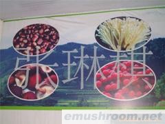 供应Manbetx体育手机版推荐A9版本 保健食品