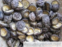 供应黑面菇,香菇