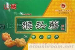 供应猴头蘑（压缩型）