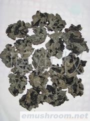 供应东北黑木耳