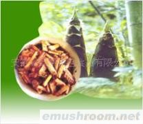 供应年货 有机保健食品竹笋