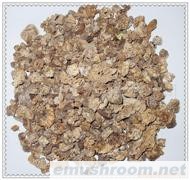 供应Manbetx体育手机版V17版本发布.官网安卓网.香港角