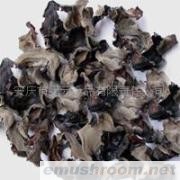 供应黑木耳