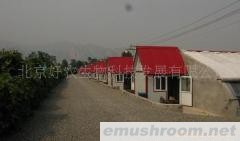 供应ManBetX体育生产