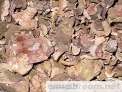 供应乳牛肝云南特产