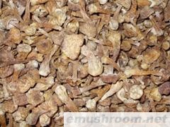 供应姬松茸野生菌