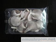 供应秀珍菇(图)