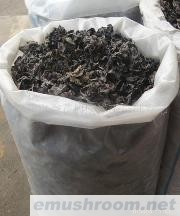 实体批发老店 大量供应东北黑木耳