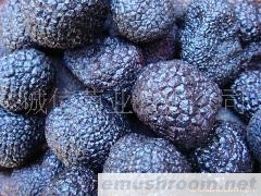 批发供应 野生菌 牛肝菌 松露菌 野生菌批发网