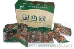 供应野山菌