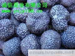 野生菌 牛肝菌 块菌 黑松露 干片 速冻 产价直销