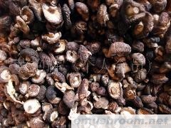 供应云南野生香菇