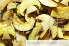 供应野生菌 美味牛肝菌干片A级