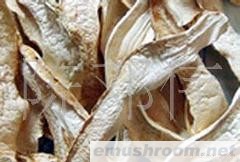 批发供应冰鲜松茸 速冻野生菌