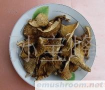 批发供应东北特产蘑菇