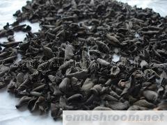 批发供应老鼠耳