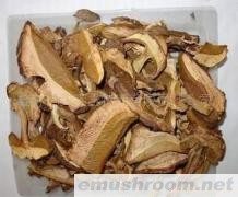 供应黄牛肝食用野生菌