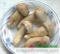 供应干松茸野生菌