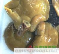 供应盐渍野生菌 黄牛肝 松茸 青杠菌