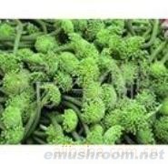 供应三七花 干片 A级,各种野生菌