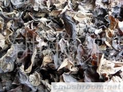 供应东北黑木耳(图)