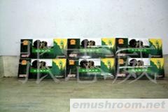 供应大量压缩黑木耳