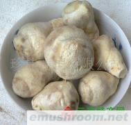 供应速冻老人头 速冻美味 黄牛肝菌