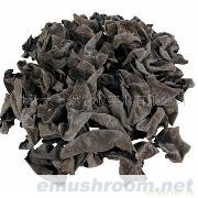供应黑木耳