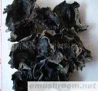 供应东北木耳