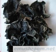 供应东北木耳