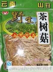 供应野生茶树菇云南特产