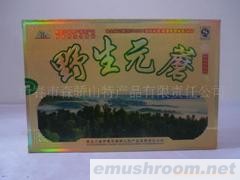 批发 供应 黑龙江 伊春 小兴安岭 金卡野生元蘑