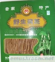 供应野生灵芝/盒装云南特产