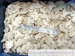 供应速冻双孢菇片