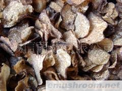 批发供应野生菌 块菌 松露菌 干货 速冻