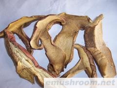 供应野生牛肝菌干品，冰冻，鲜品，盐渍ManBetX体育，菌汤料