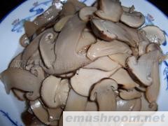 批发供应盐渍野生松茸，冰冻松茸，干品，冻干松茸