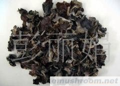 供应野生黑木耳