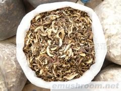 供应A级老人头 牛肝菌