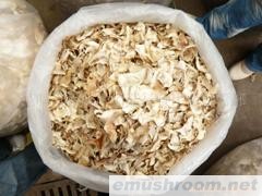 供应A级野生黑木耳