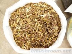 供应AA级牛肝菌（红葱）