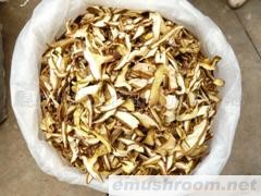 供应AA级火把鸡纵 Manbetx体育手机版V17版本发布.官网安卓网.香港