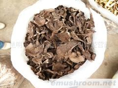 供应AA级黑虎掌牛肝菌