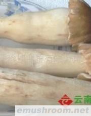 供应新鲜野生菌